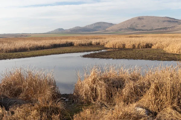 Aldomirovtsi bataklığının sonbahar manzarası, Sofya bölgesi, Bulgaristan