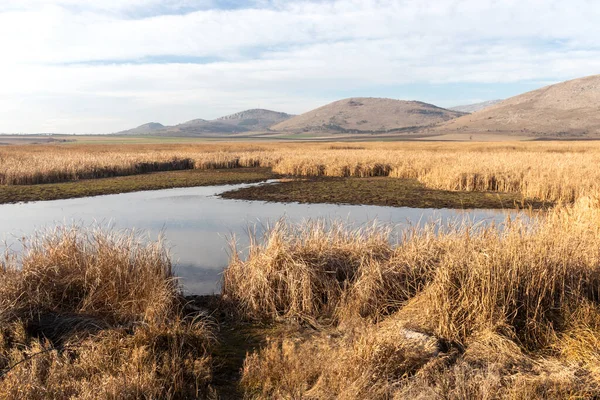 Aldomirovtsi bataklığının sonbahar manzarası, Sofya bölgesi, Bulgaristan
