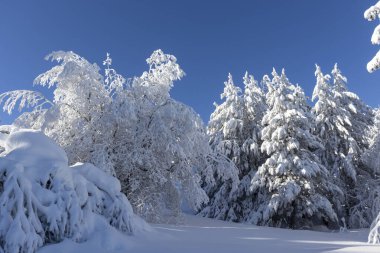Vitosha Dağı 'nın kış manzarası, Sofya Şehir Bölgesi, Bulgaristan