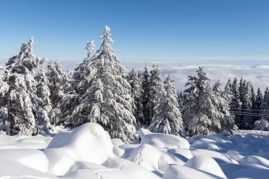 Vitosha Dağı 'nın kış manzarası, Sofya Şehir Bölgesi, Bulgaristan