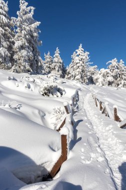 Vitosha Dağı 'nın kış manzarası, Sofya Şehir Bölgesi, Bulgaristan
