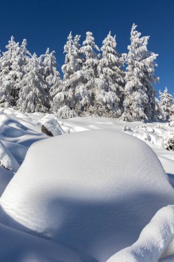 Vitosha Dağı 'nın kış manzarası, Sofya Şehir Bölgesi, Bulgaristan
