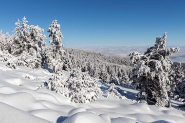 Vitosha Dağı 'nın kış manzarası, Sofya Şehir Bölgesi, Bulgaristan