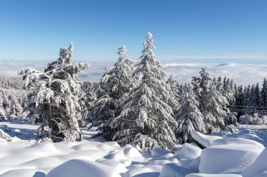 Vitosha Dağı 'nın kış manzarası, Sofya Şehir Bölgesi, Bulgaristan