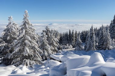 Vitosha Dağı 'nın kış manzarası, Sofya Şehir Bölgesi, Bulgaristan