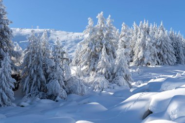 Vitosha Dağı 'nın kış manzarası, Sofya Şehir Bölgesi, Bulgaristan