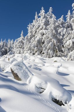 Vitosha Dağı 'nın kış manzarası, Sofya Şehir Bölgesi, Bulgaristan