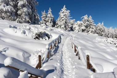 Vitosha Dağı 'nın kış manzarası, Sofya Şehir Bölgesi, Bulgaristan