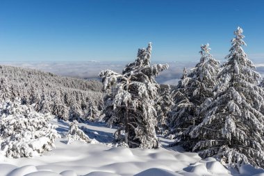 Vitosha Dağı 'nın kış manzarası, Sofya Şehir Bölgesi, Bulgaristan