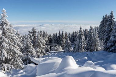 Vitosha Dağı 'nın kış manzarası, Sofya Şehir Bölgesi, Bulgaristan