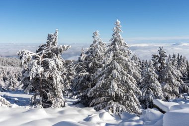 Vitosha Dağı 'nın kış manzarası, Sofya Şehir Bölgesi, Bulgaristan