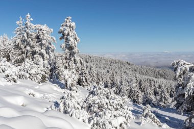 Vitosha Dağı 'nın kış manzarası, Sofya Şehir Bölgesi, Bulgaristan