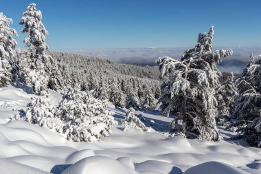 Vitosha Dağı 'nın kış manzarası, Sofya Şehir Bölgesi, Bulgaristan