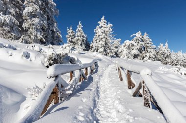 Vitosha Dağı 'nın kış manzarası, Sofya Şehir Bölgesi, Bulgaristan