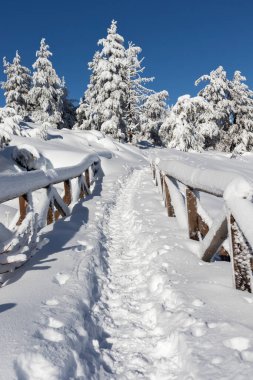 Vitosha Dağı 'nın kış manzarası, Sofya Şehir Bölgesi, Bulgaristan