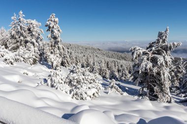 Vitosha Dağı 'nın kış manzarası, Sofya Şehir Bölgesi, Bulgaristan