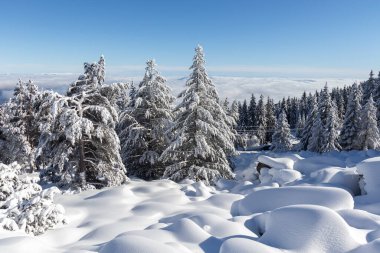 Vitosha Dağı 'nın kış manzarası, Sofya Şehir Bölgesi, Bulgaristan