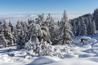 Vitosha Dağı 'nın kış manzarası, Sofya Şehir Bölgesi, Bulgaristan