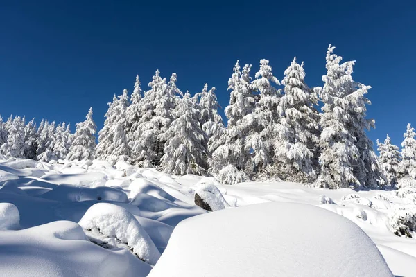 Zimní Krajina Hory Vitosha Sofijský Kraj Bulharsko — Stock fotografie