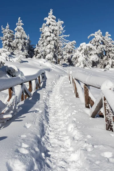 Vitosha Dağı 'nın kış manzarası, Sofya Şehir Bölgesi, Bulgaristan