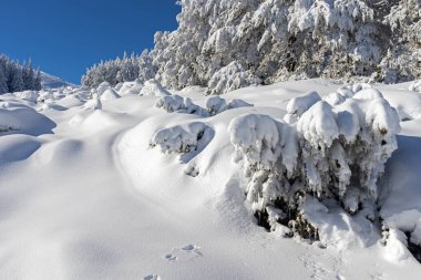 Vitosha Dağı 'nın kış manzarası, Sofya Şehir Bölgesi, Bulgaristan