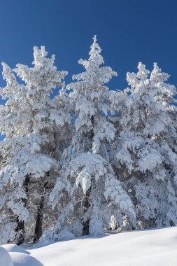 Vitosha Dağı 'nın kış manzarası, Sofya Şehir Bölgesi, Bulgaristan