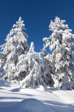 Vitosha Dağı 'nın kış manzarası, Sofya Şehir Bölgesi, Bulgaristan