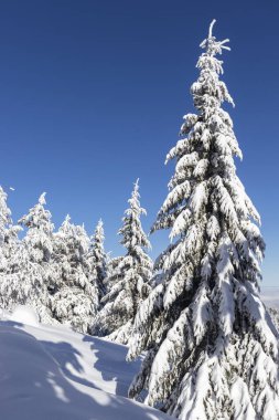 Vitosha Dağı 'nın kış manzarası, Sofya Şehir Bölgesi, Bulgaristan