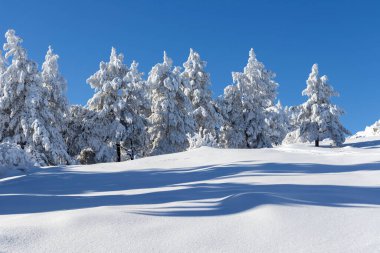 Vitosha Dağı 'nın kış manzarası, Sofya Şehir Bölgesi, Bulgaristan