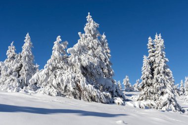 Vitosha Dağı 'nın kış manzarası, Sofya Şehir Bölgesi, Bulgaristan