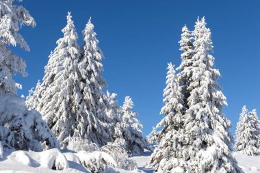 Vitosha Dağı 'nın kış manzarası, Sofya Şehir Bölgesi, Bulgaristan