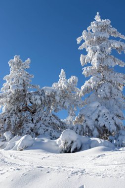 Vitosha Dağı 'nın kış manzarası, Sofya Şehir Bölgesi, Bulgaristan