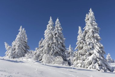 Vitosha Dağı 'nın kış manzarası, Sofya Şehir Bölgesi, Bulgaristan