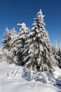 Vitosha Dağı 'nın kış manzarası, Sofya Şehir Bölgesi, Bulgaristan