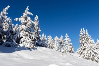 Vitosha Dağı 'nın kış manzarası, Sofya Şehir Bölgesi, Bulgaristan