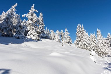 Vitosha Dağı 'nın kış manzarası, Sofya Şehir Bölgesi, Bulgaristan
