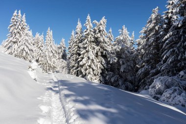 Vitosha Dağı 'nın kış manzarası, Sofya Şehir Bölgesi, Bulgaristan
