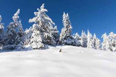 Vitosha Dağı 'nın kış manzarası, Sofya Şehir Bölgesi, Bulgaristan