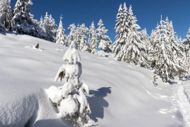 Vitosha Dağı 'nın kış manzarası, Sofya Şehir Bölgesi, Bulgaristan