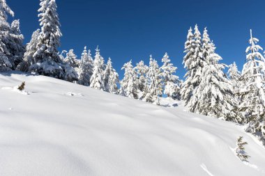 Vitosha Dağı 'nın kış manzarası, Sofya Şehir Bölgesi, Bulgaristan