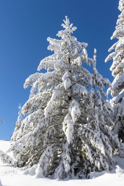 Vitosha Dağı 'nın kış manzarası, Sofya Şehir Bölgesi, Bulgaristan