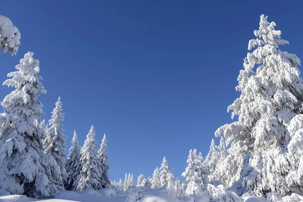 Vitosha Dağı 'nın kış manzarası, Sofya Şehir Bölgesi, Bulgaristan