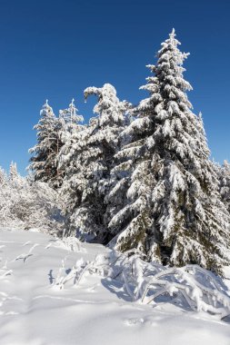 Vitosha Dağı 'nın kış manzarası, Sofya Şehir Bölgesi, Bulgaristan