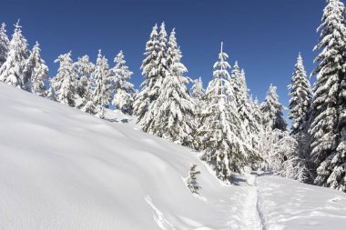 Vitosha Dağı 'nın kış manzarası, Sofya Şehir Bölgesi, Bulgaristan