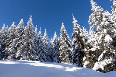 Vitosha Dağı 'nın kış manzarası, Sofya Şehir Bölgesi, Bulgaristan