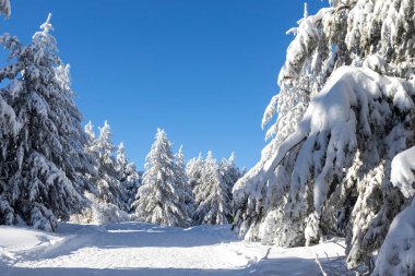 Vitosha Dağı 'nın kış manzarası, Sofya Şehir Bölgesi, Bulgaristan
