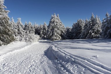 Vitosha Dağı 'nın kış manzarası, Sofya Şehir Bölgesi, Bulgaristan