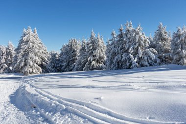Vitosha Dağı 'nın kış manzarası, Sofya Şehir Bölgesi, Bulgaristan