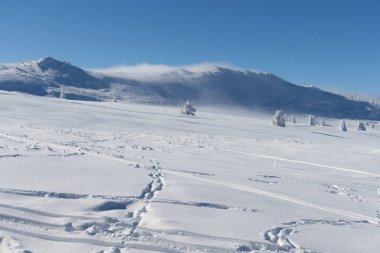 Bulgaristan 'ın Sofya Şehir Bölgesi, Vitosha Dağı' nın Hava Kış Manzarası