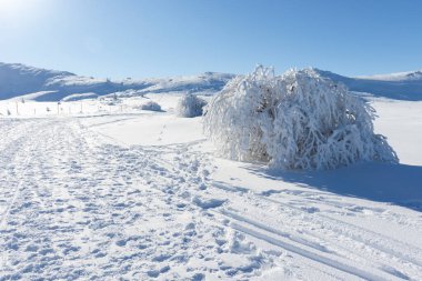 Bulgaristan 'ın Sofya Şehir Bölgesi, Vitosha Dağı' nın Hava Kış Manzarası